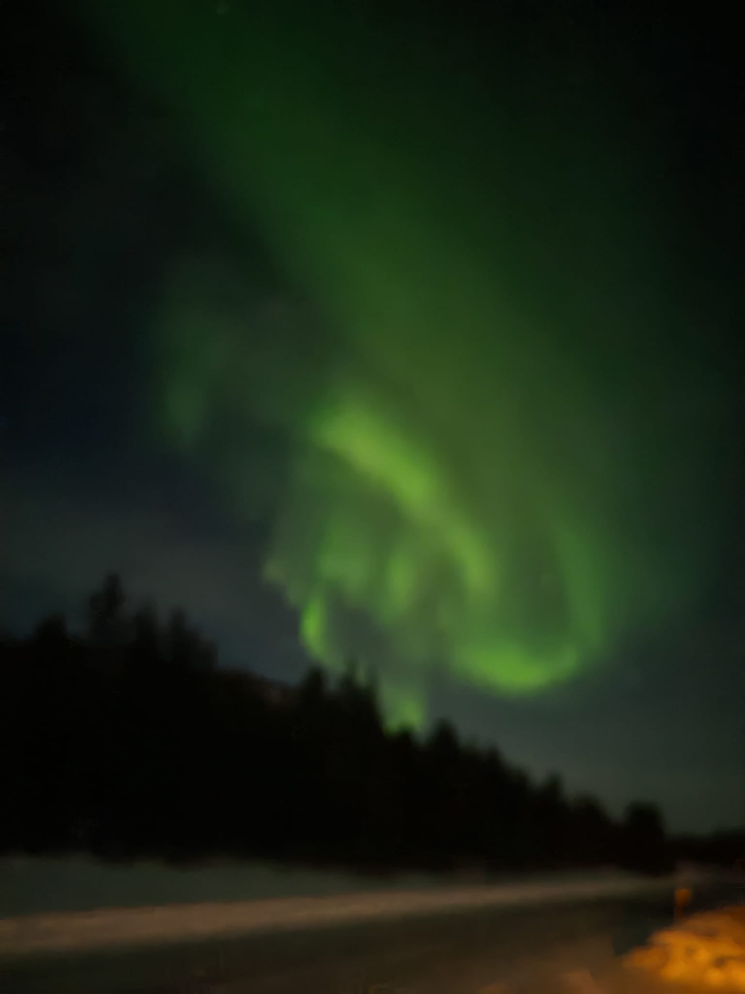 Nordlichter in Grün am Himmel über einem Wald, leere Straße im Vordergrund, leicht verschwommene Langzeitbelichtung für atmosphärisches Bild.